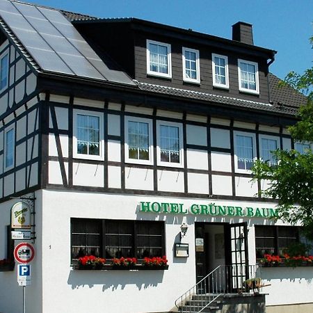 Hotel Gruener Baum Stollberg Luaran gambar